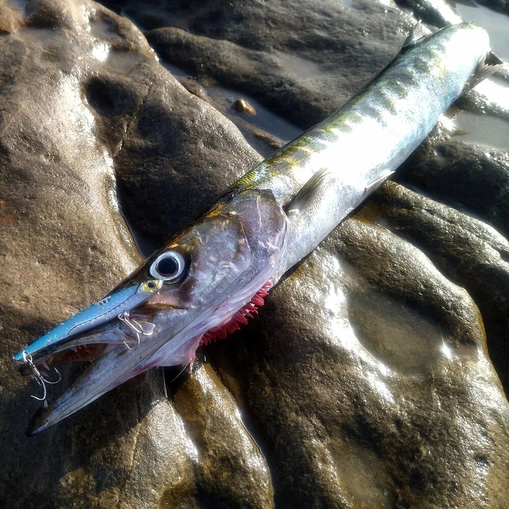 GOBAIT VIB Fishing Lure 20g 25 – Fishing Hook Treble recenzja i cena